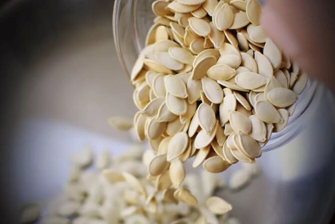 Pumpkin seeds are immature